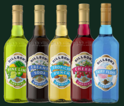 Billsons Soda Drink 600ml
